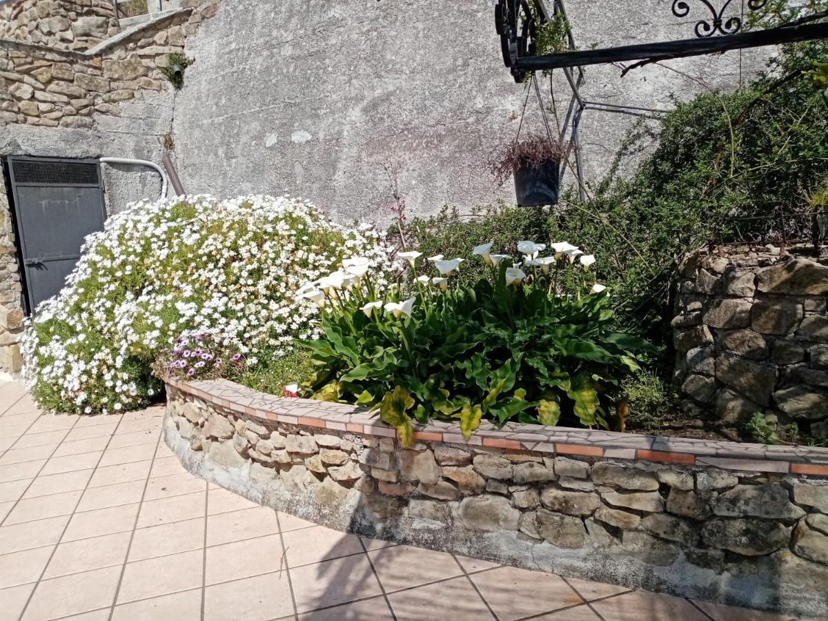 La Vecchia Fattoria Bed & Breakfast